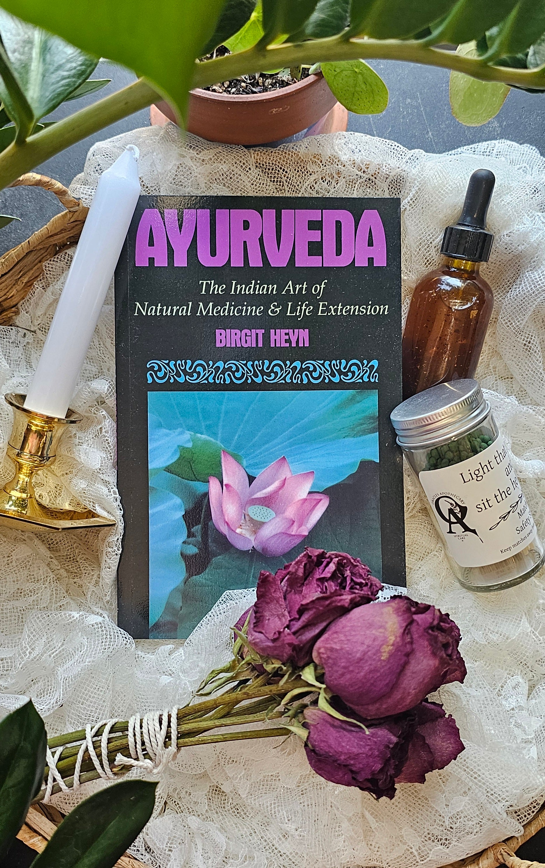 Ayurveda The Indian Art of Natural Medicine and Life Extension
