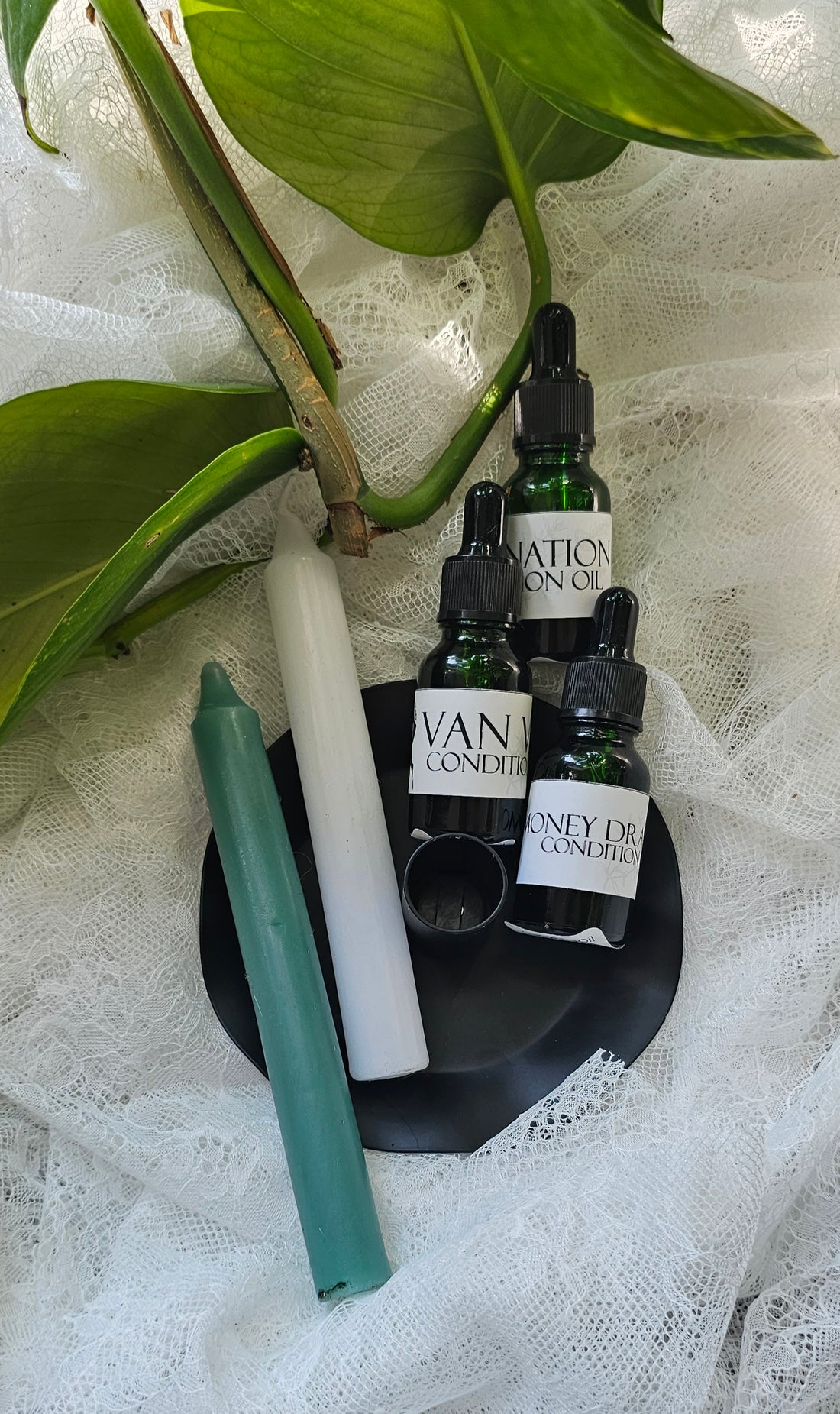 Condition Oil