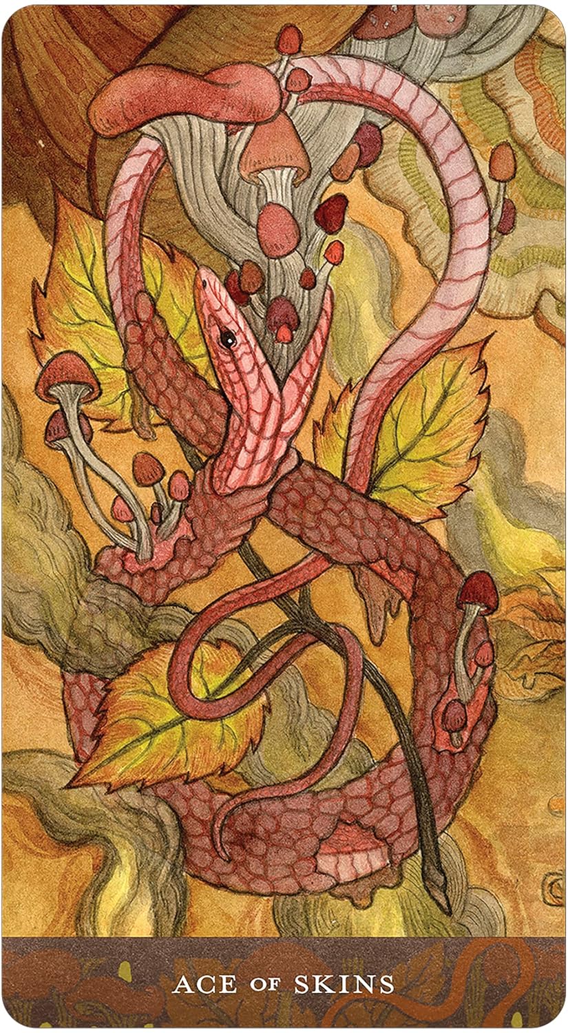 Card with a dragon and mushroom design labeled &
