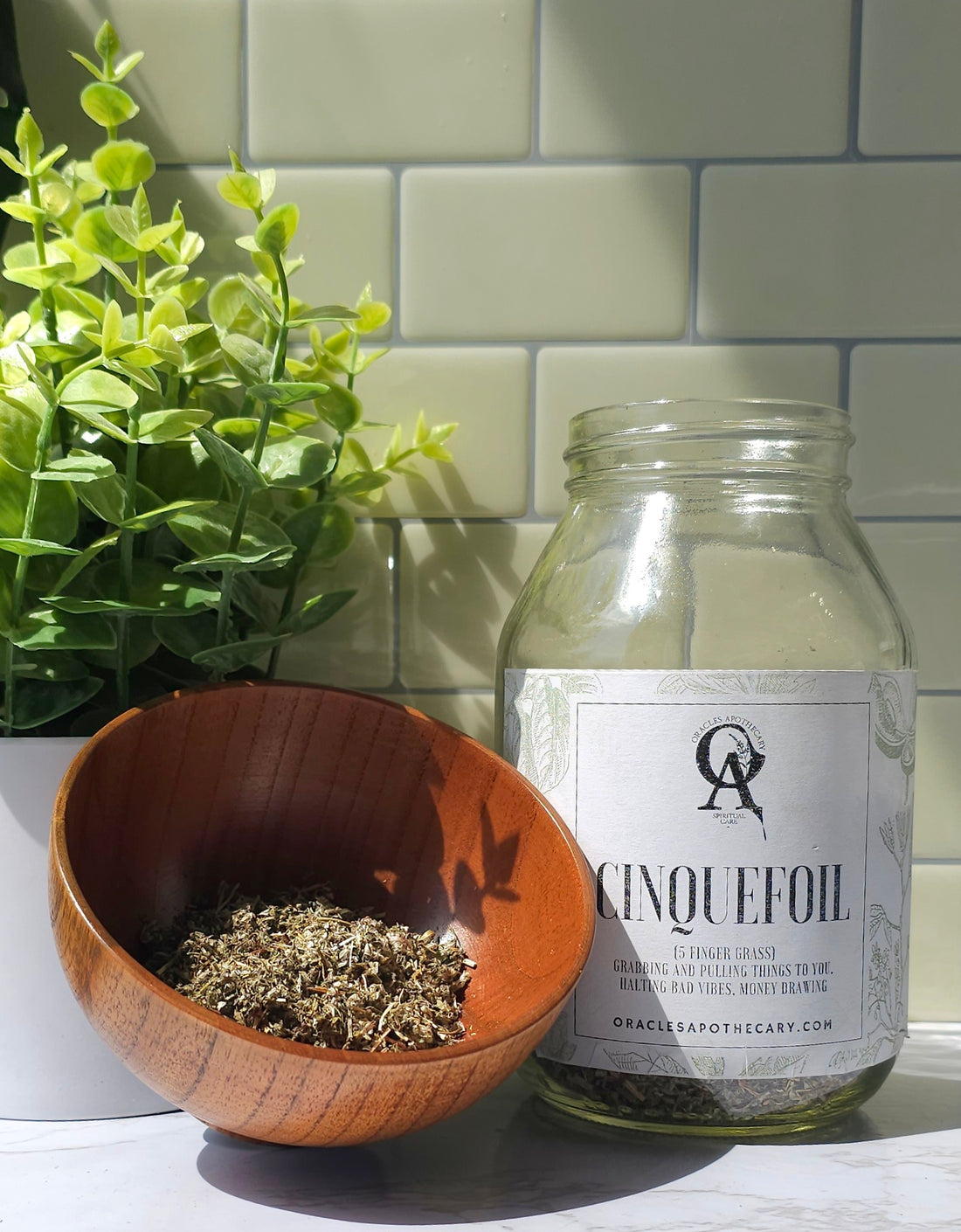 Cinquefoil herbs in a bowl