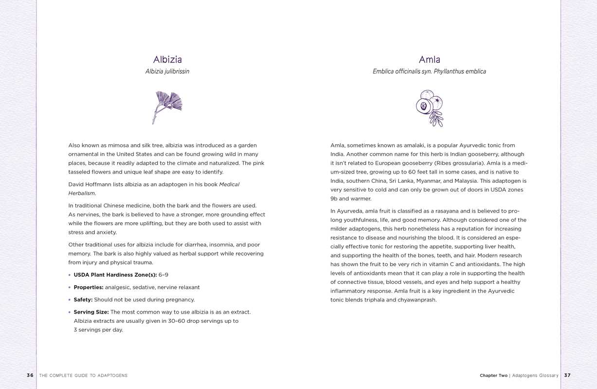 The Complete Guide to Adaptogens