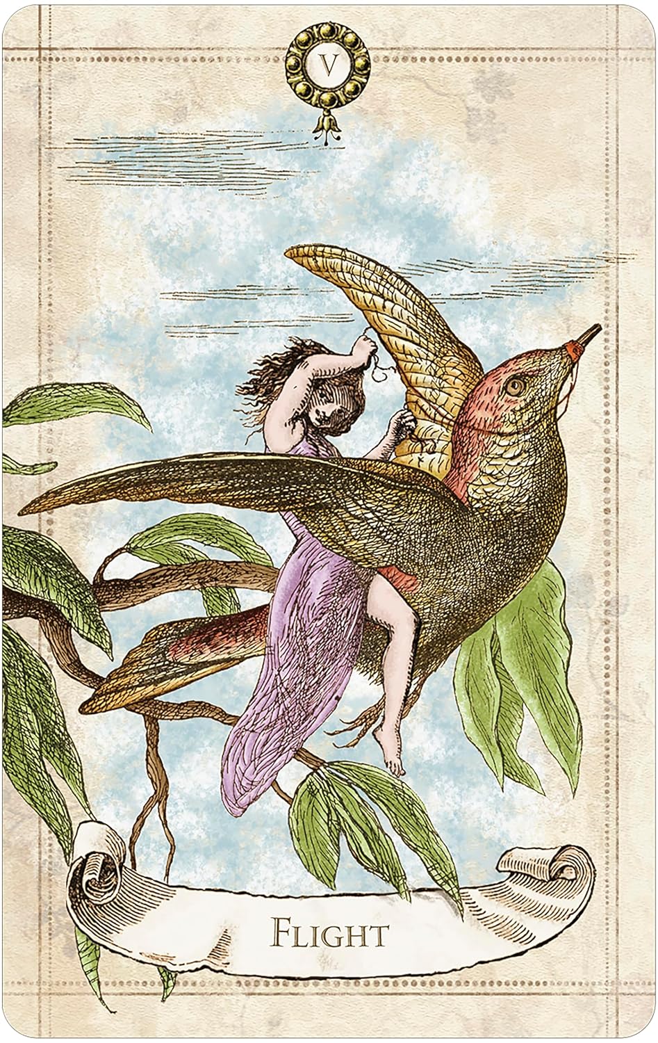 woman on a bird