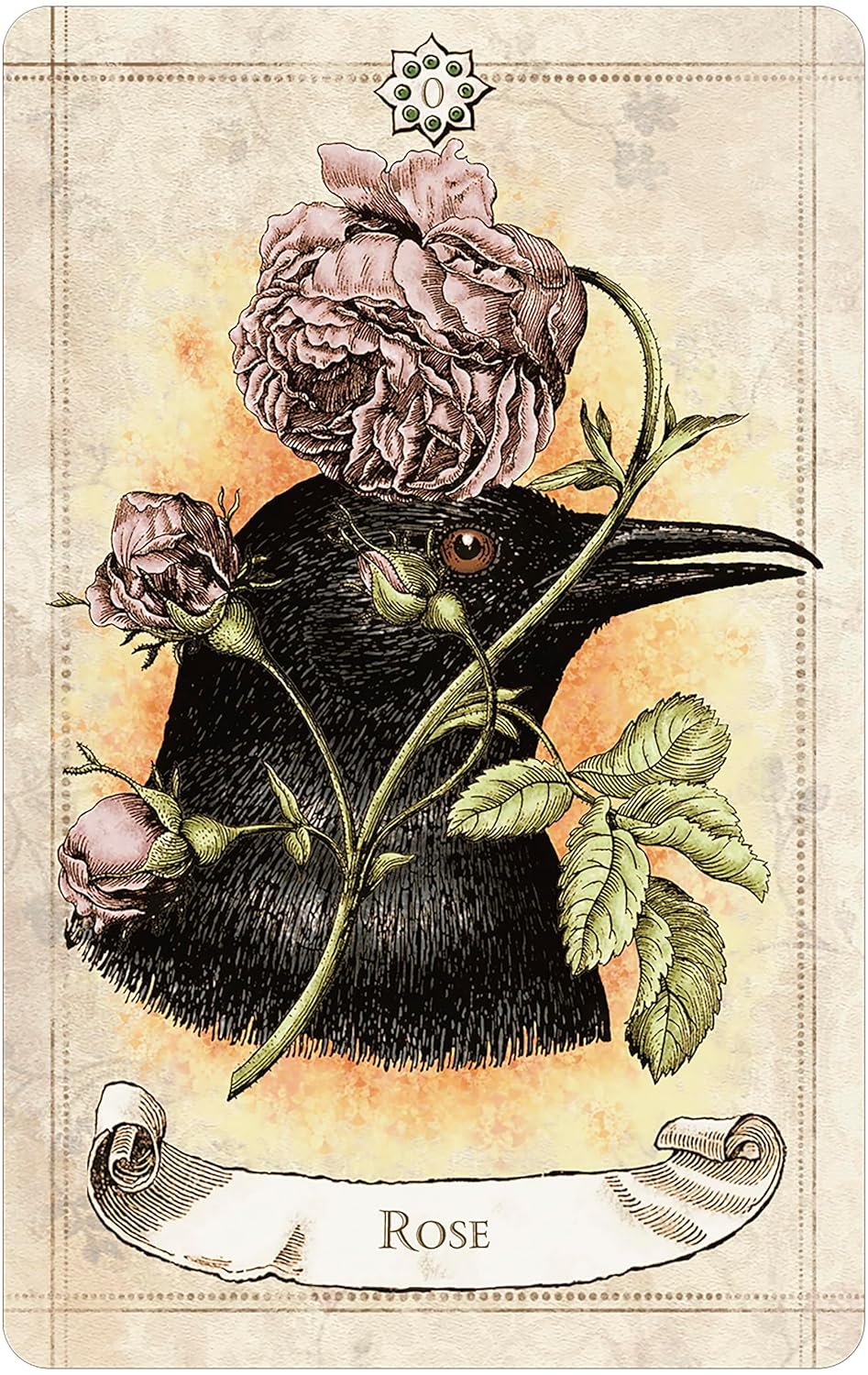 rose in front of a crow
