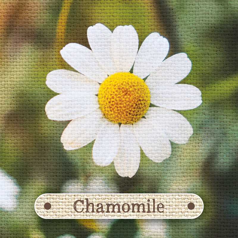 Apothecary Flashcards