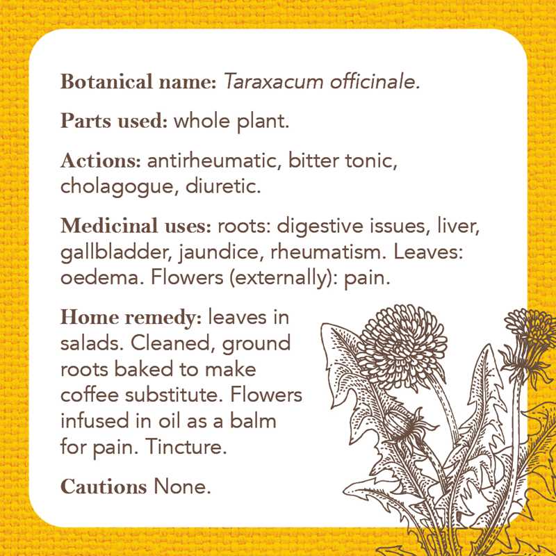 Apothecary Flashcards