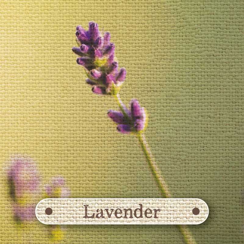Apothecary Flashcards