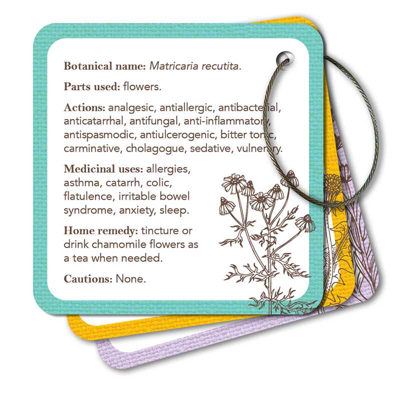 Apothecary Flashcards