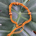 a tan threaded bracelet with 3 wooden beads braided into it.