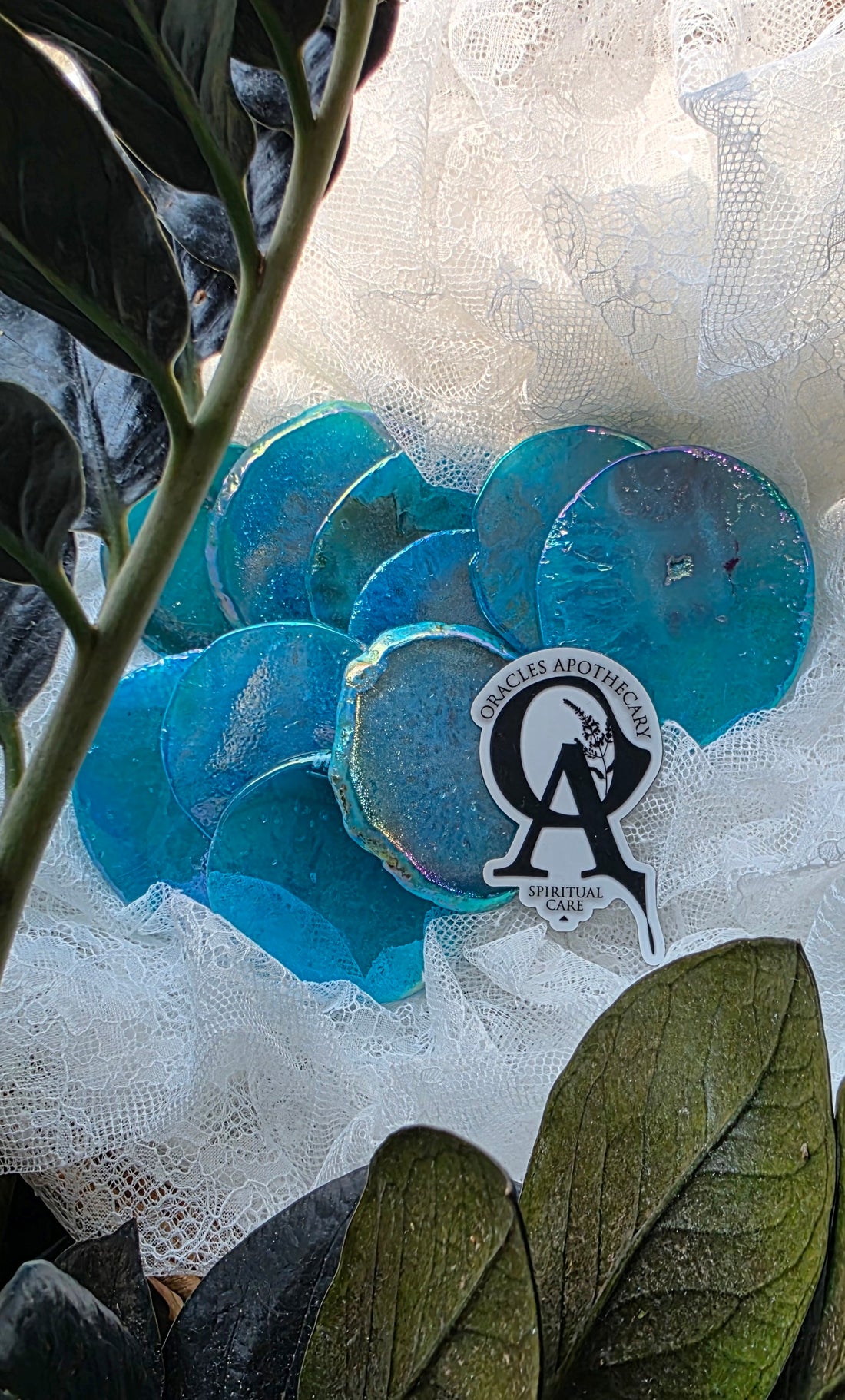 Blue circular objects with a logo on a textured white background, surrounded by green leaves.