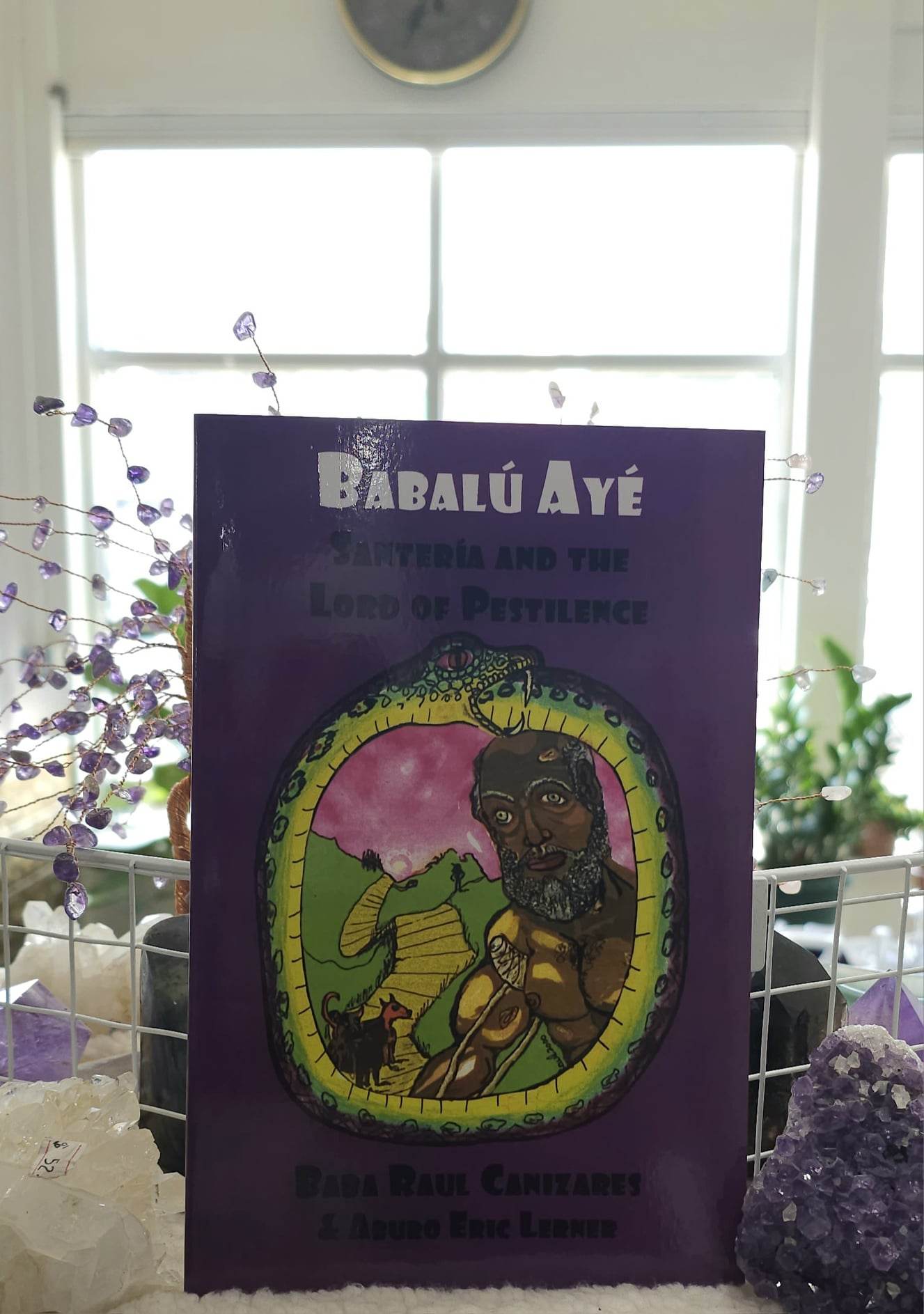 the book Babalu Aye: Santeria and the Lord of Pestilence