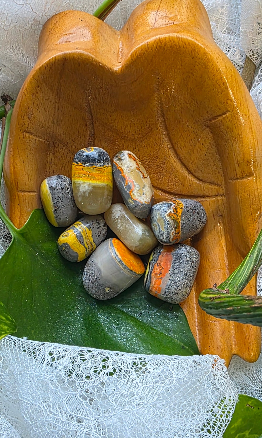 Decorative wooden bowl with bumble bee jaspers stones on a green leaf