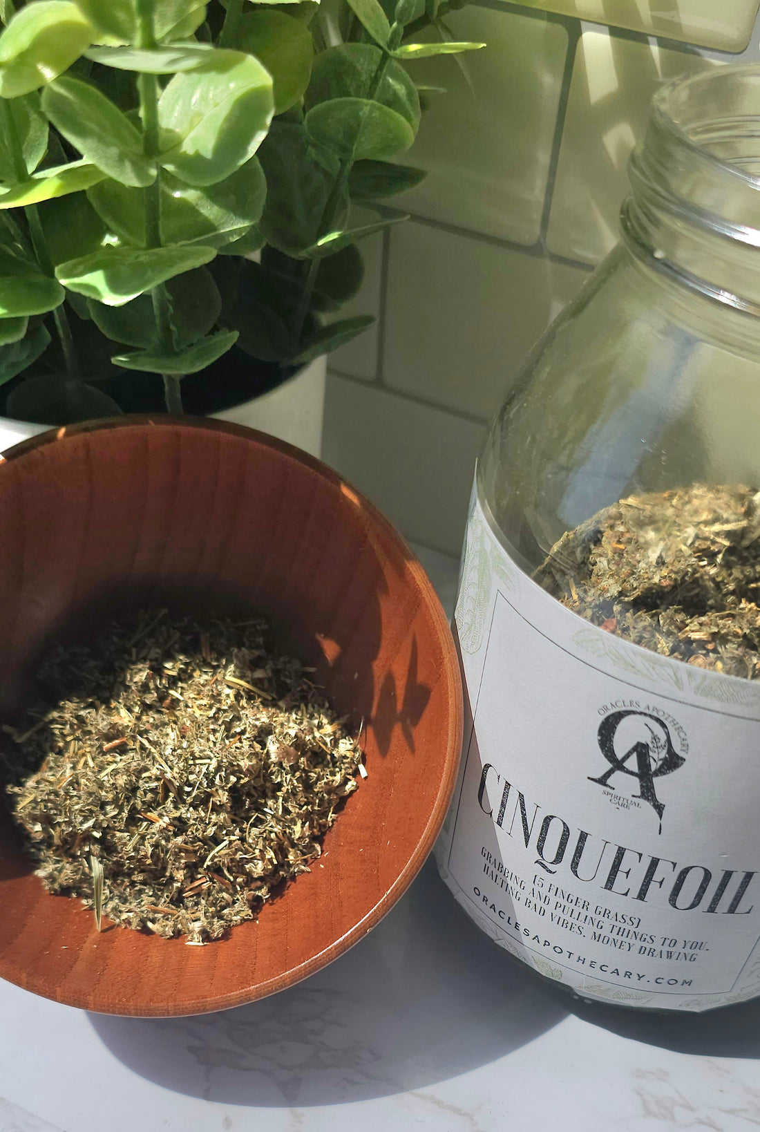 Cinquefoil herbs in a bowl