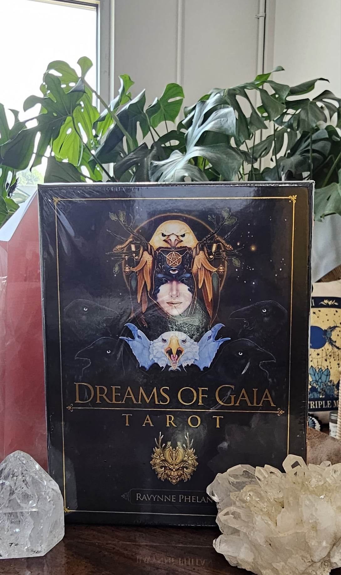 Dreams of Gaia Tarot deck on a table