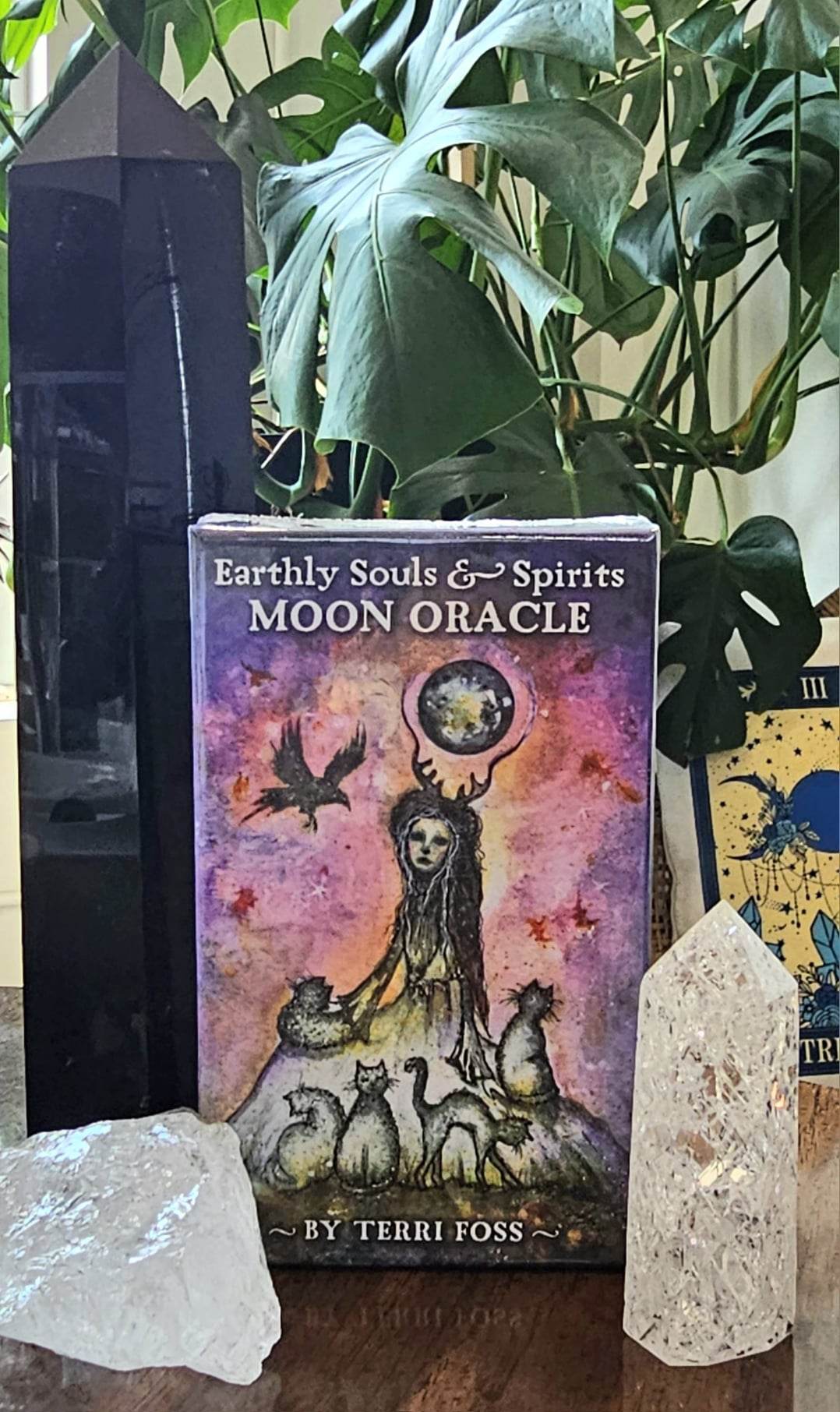 Earthly Souls and Spirits Moon Oracle deck sitting on a table