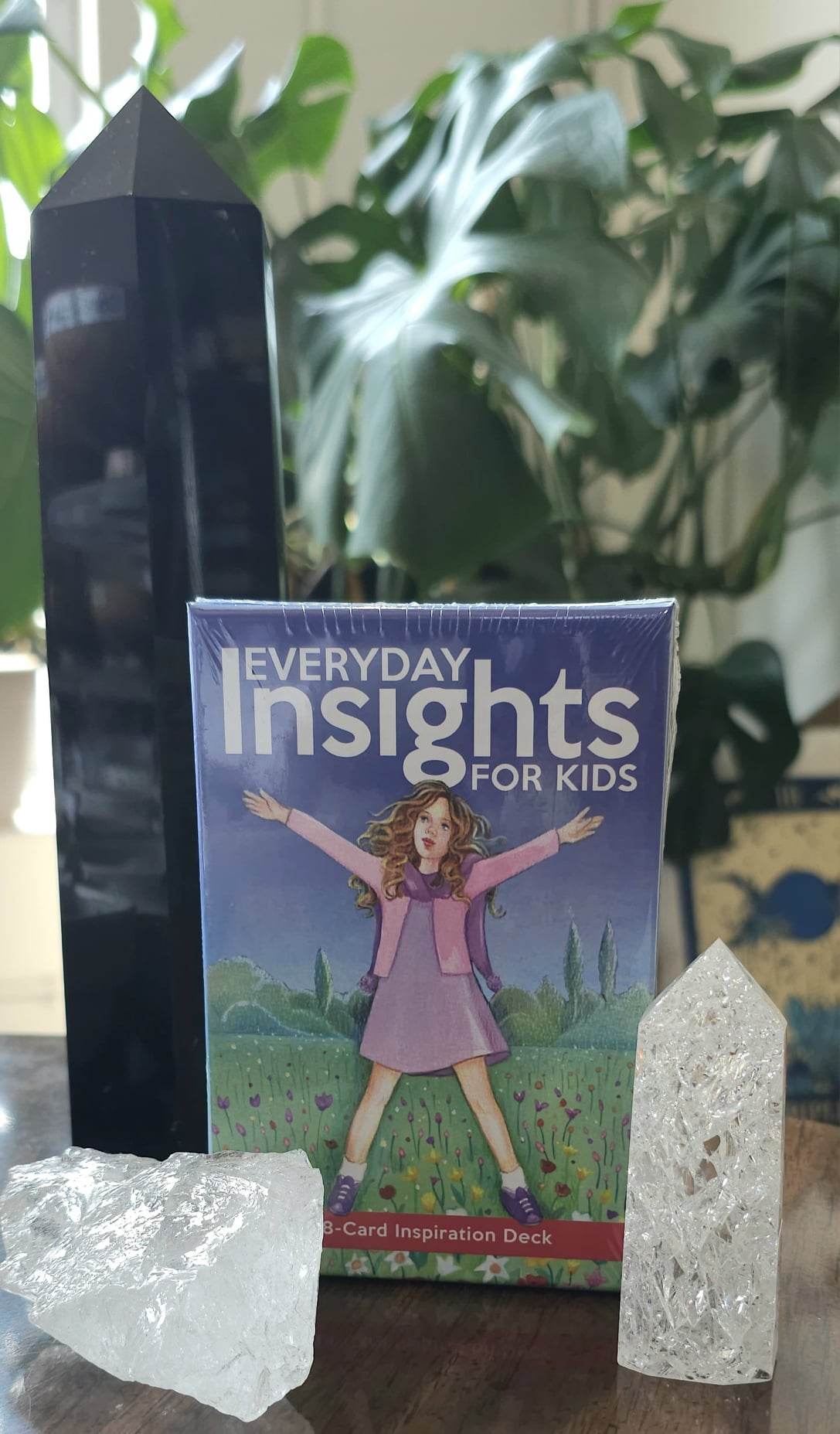 Everyday Insights for Kids deck sitting on a table