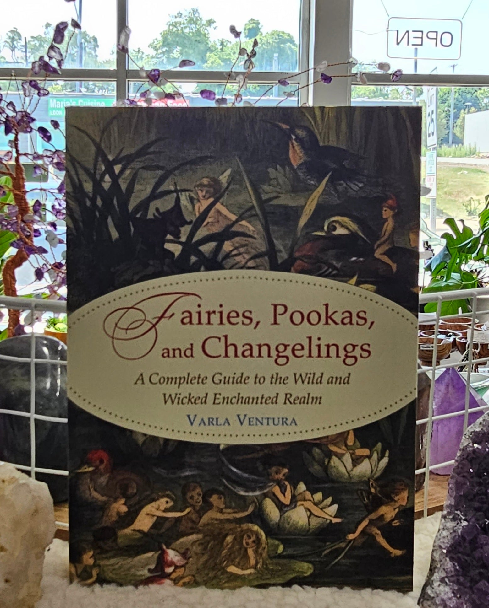 Fairies, Pookas, and Changelings book sitting on a table
