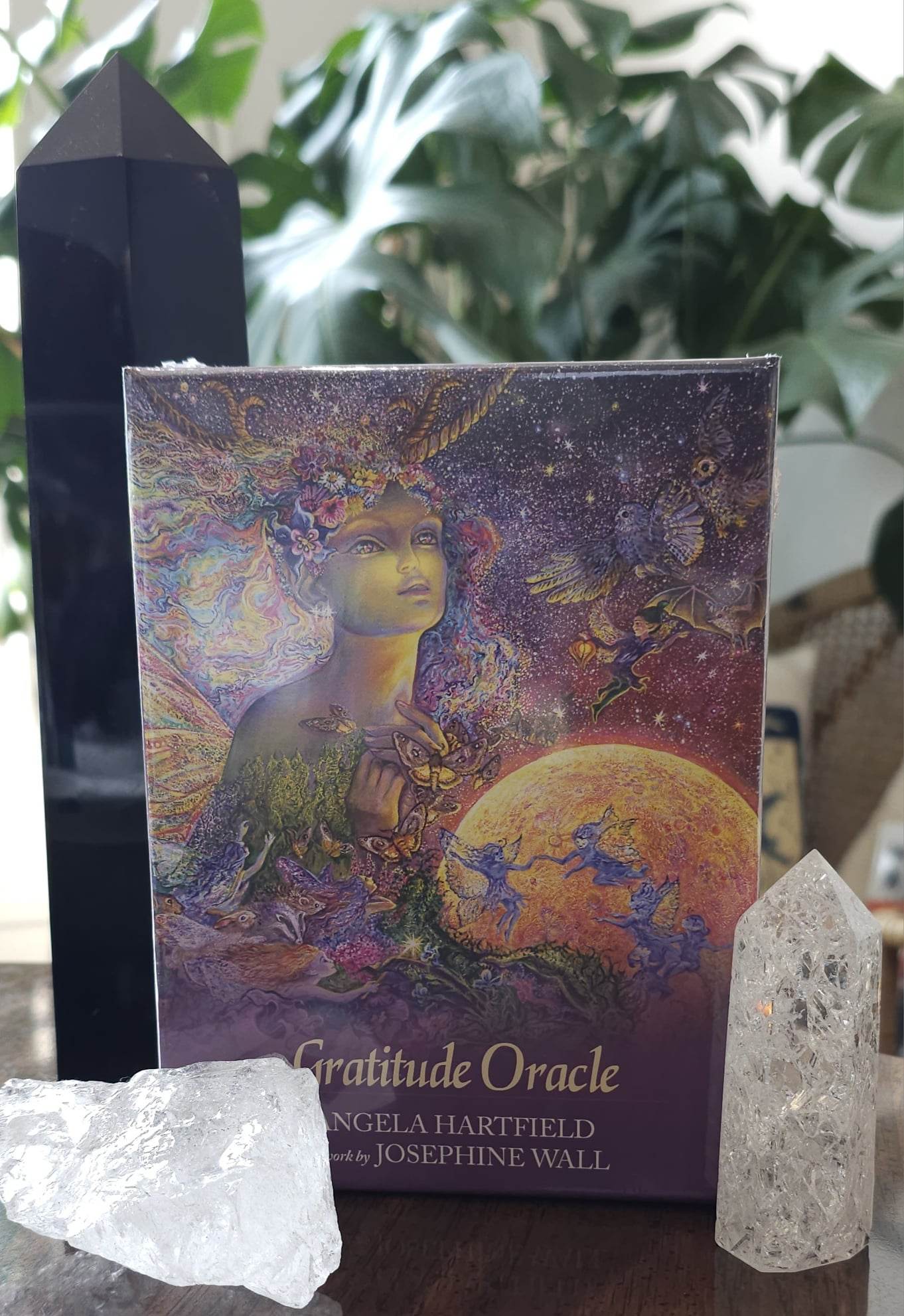 Gratitude Oracle sitting on a wooden desk