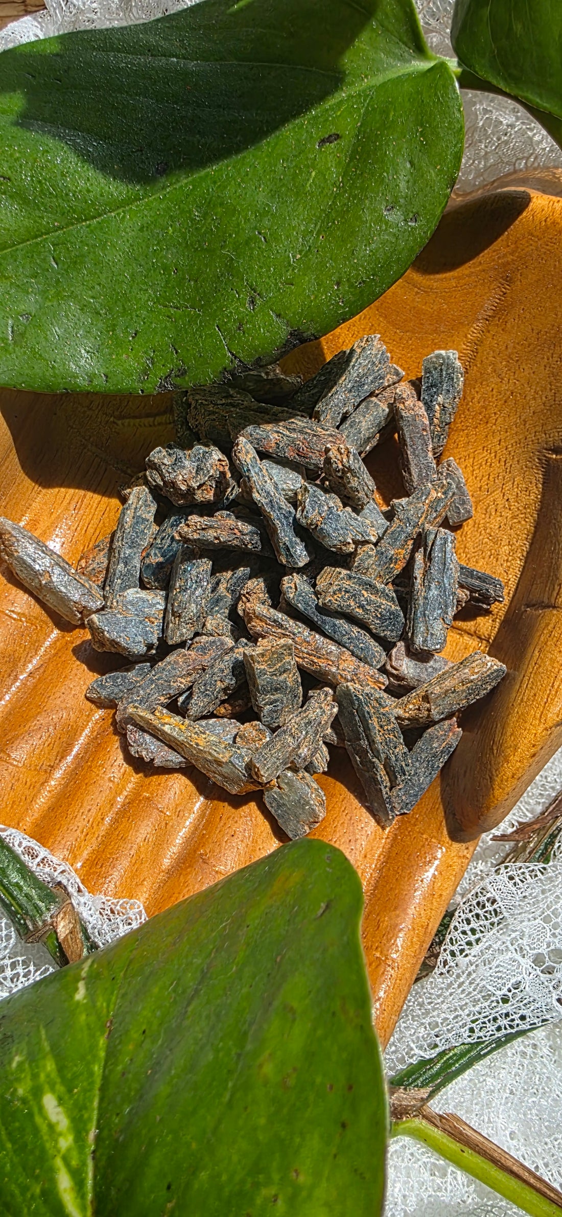 green kyanite crystals in a wooden tray with green leaves in the background