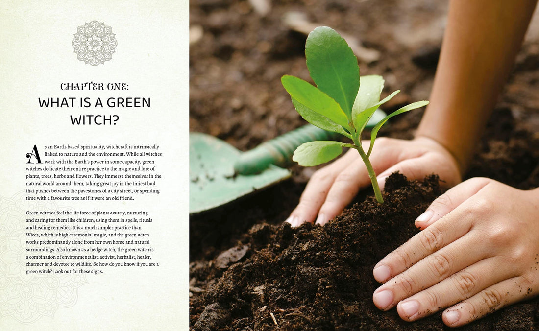 chapter one text and hands planting a green plant.