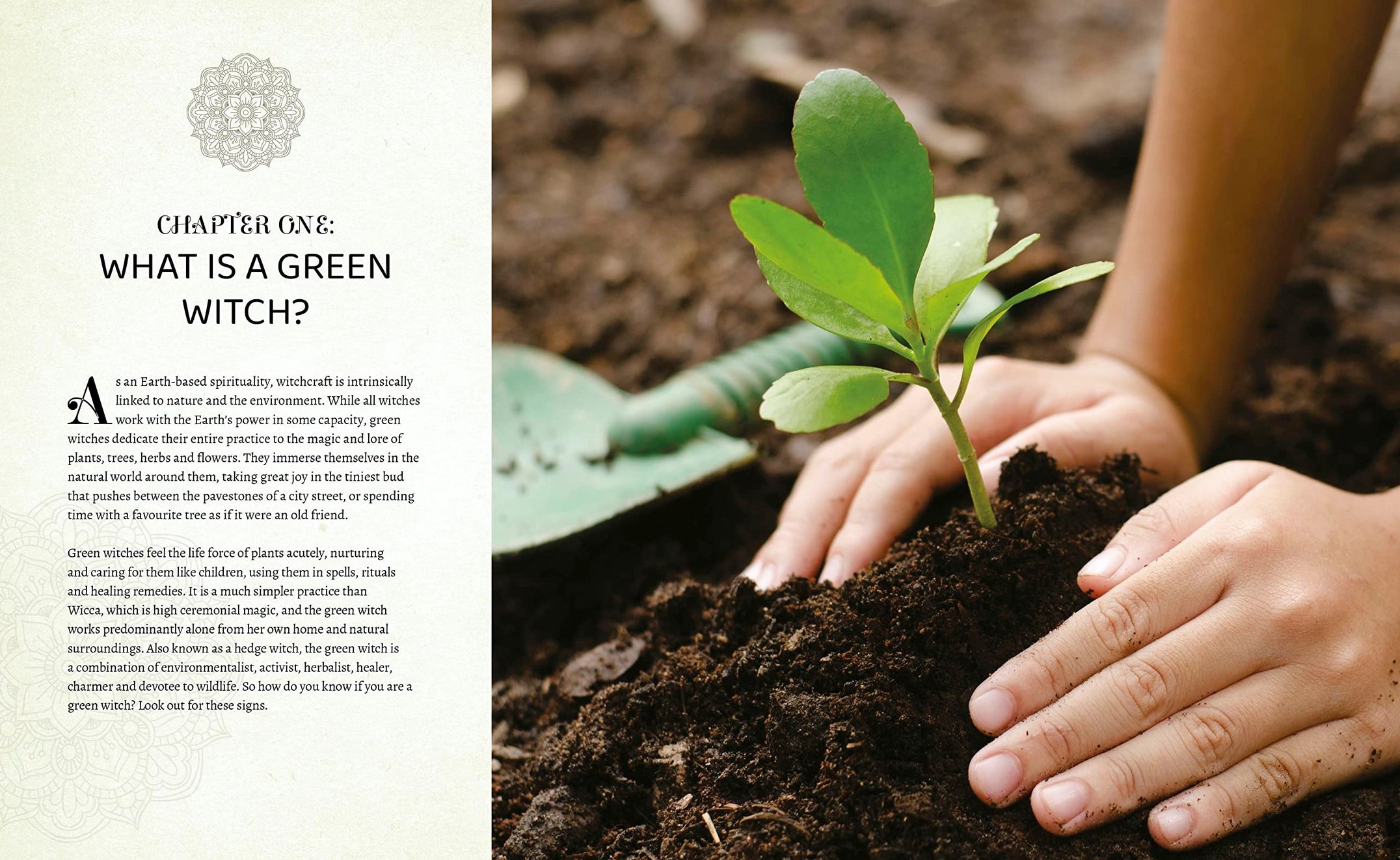 chapter one text and hands planting a green plant.