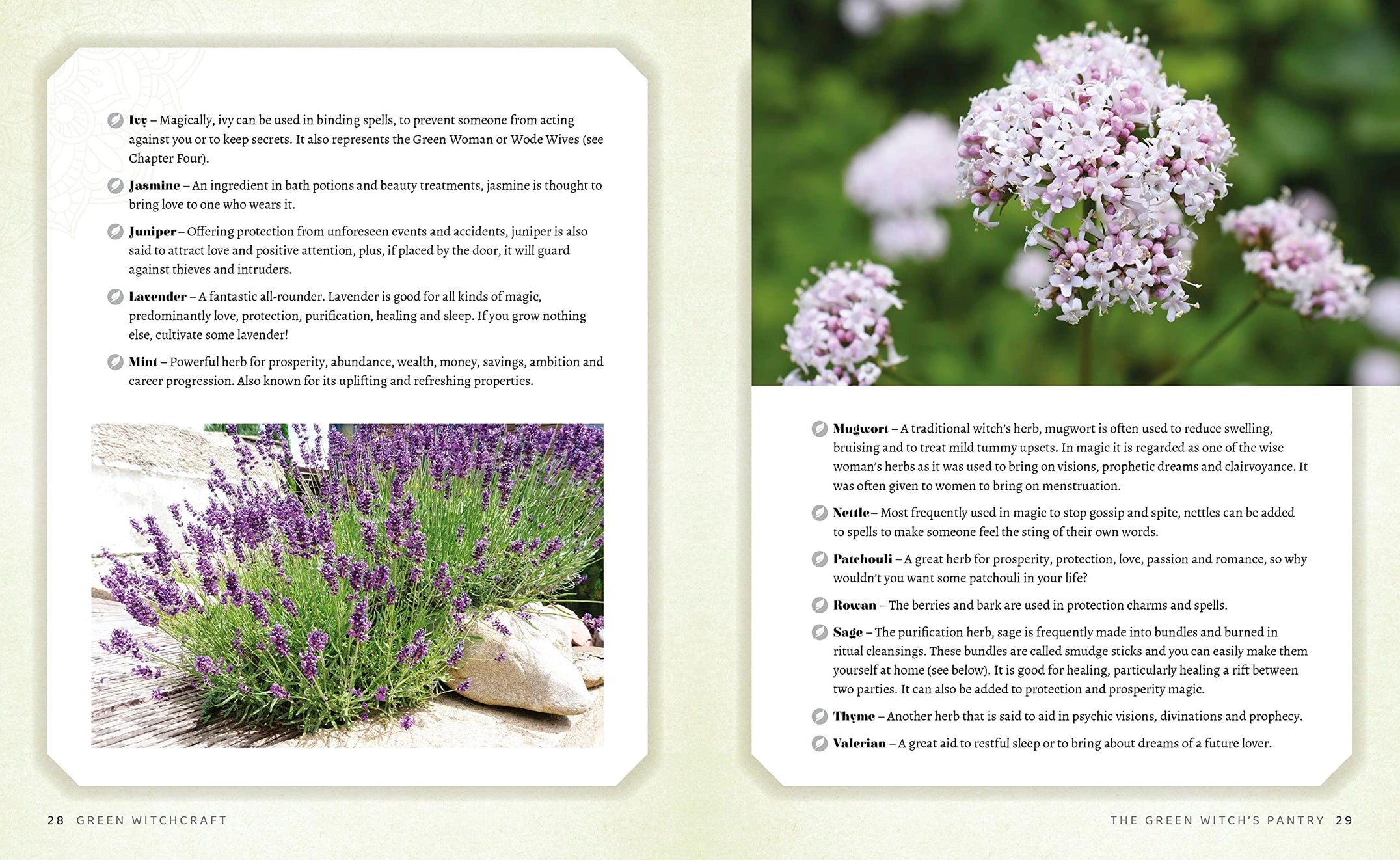 2 pages of contents about different herbs