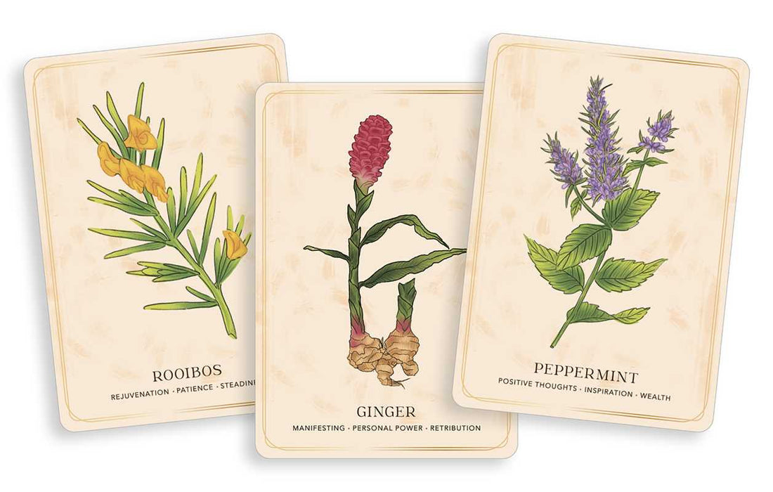Three cards with botanical illustrations and names on a white background