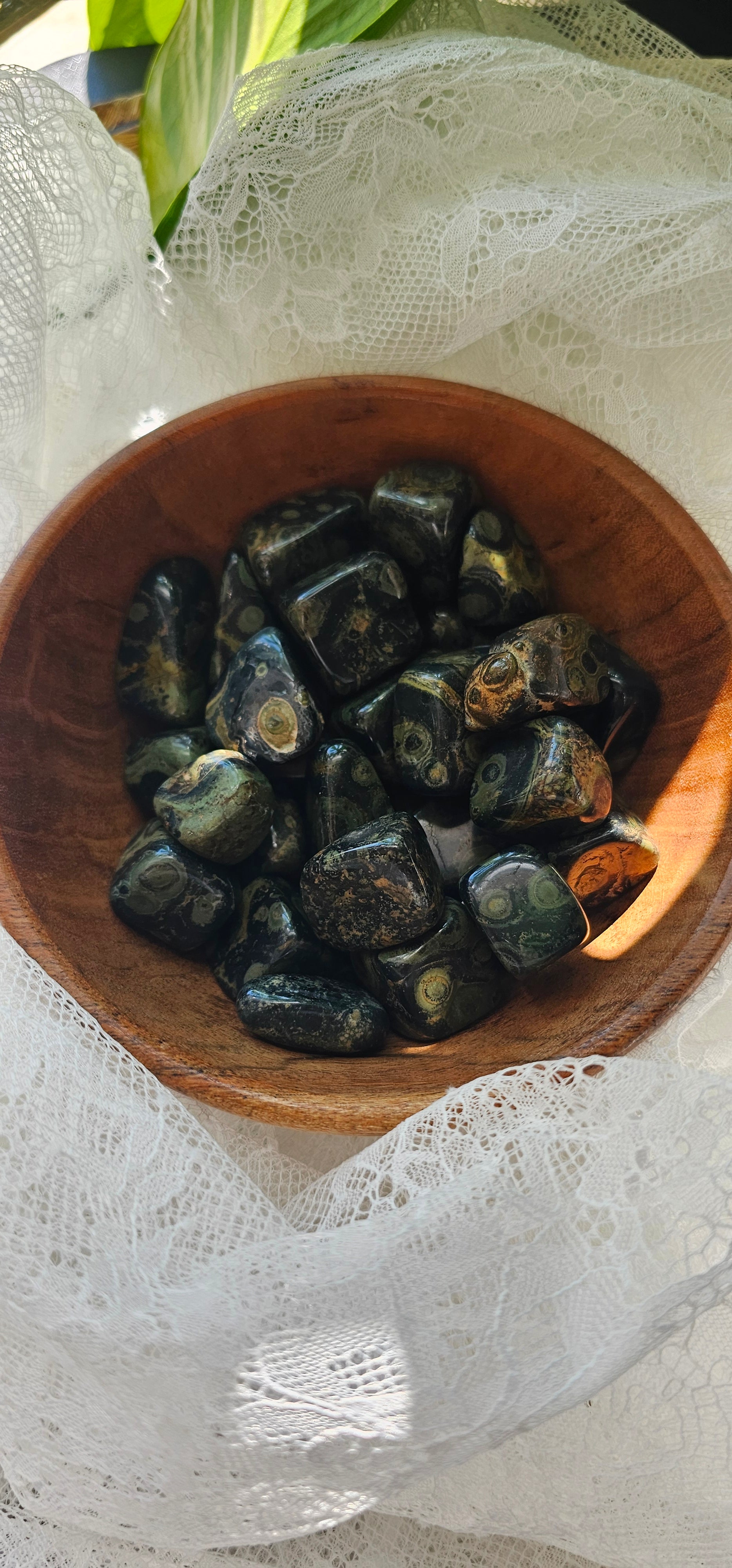 Kambaba Jasper stones crystals in a bowl
