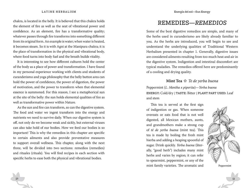 Page from a book on Latin American herbalism with text and illustrations of herbs.