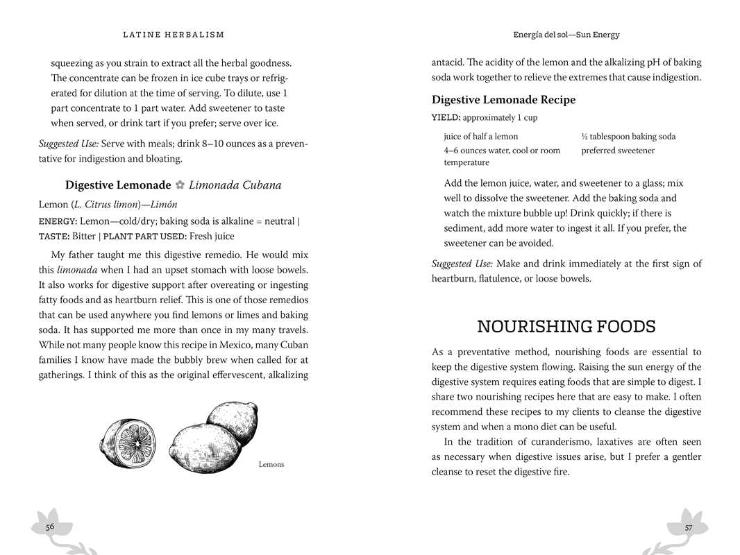 Page from a book or document about digestive lemonade recipe and nourishing foods with text and lemon illustrations.