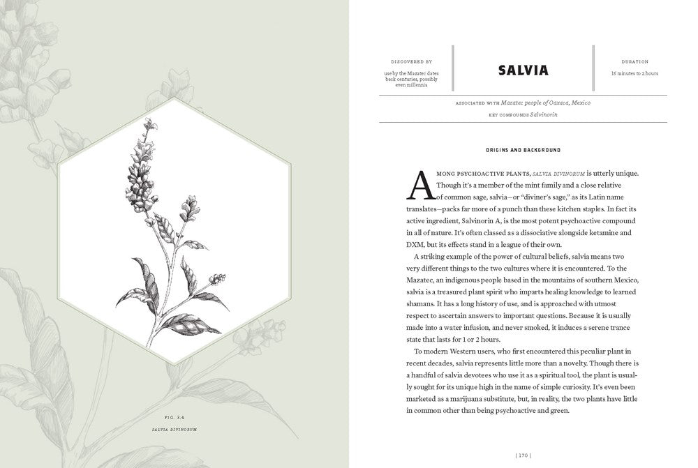 Magic Medicine salvia page