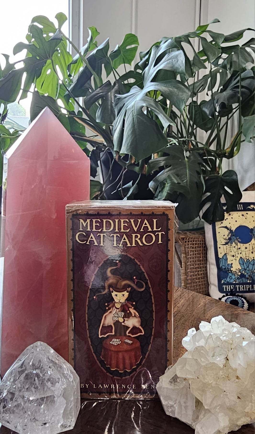 Medieval Cat Tarot cover