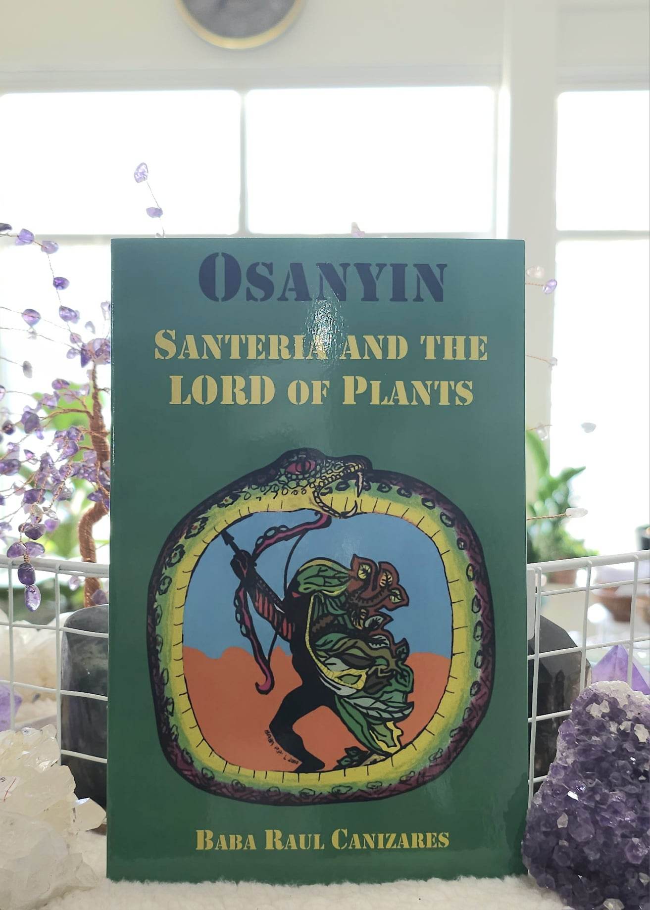 Osanyin: Santeria and the Lord of Plants cover