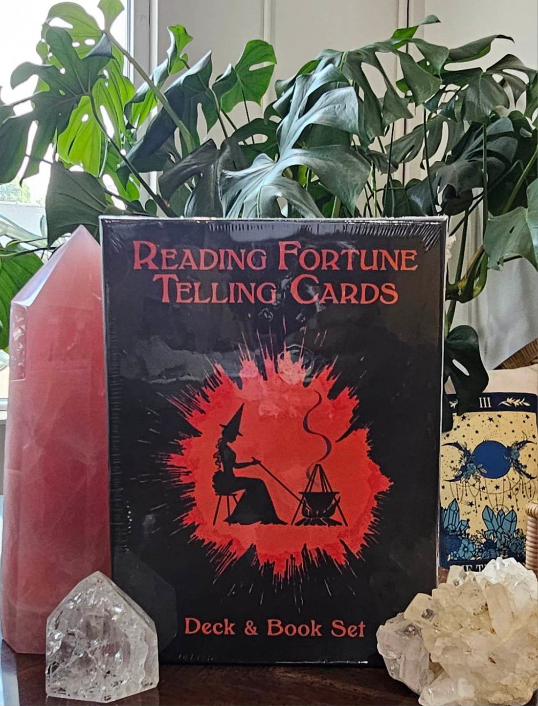 Reading Fortune Telling Cards cover
