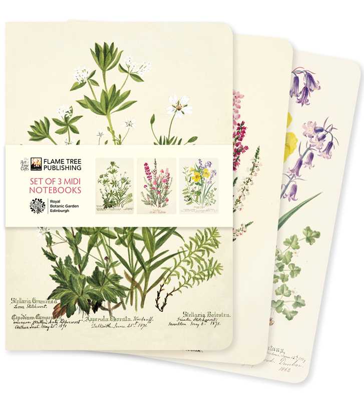 Set of three mini notebooks with botanical illustrations on a white background