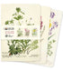 Set of three mini notebooks with botanical illustrations on a white background