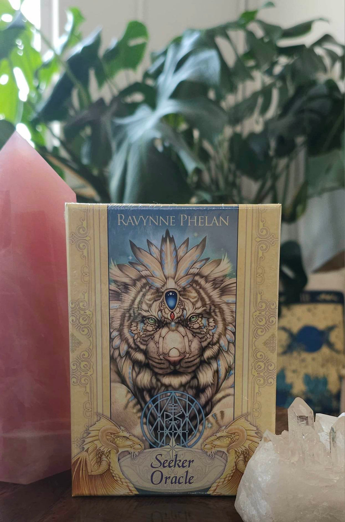 Seeker Oracle deck cover