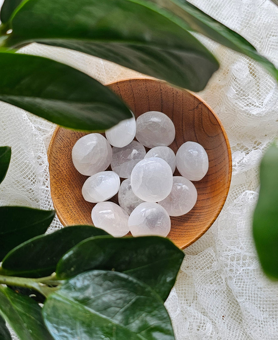 Selenite crystals stones in a wooden bowl