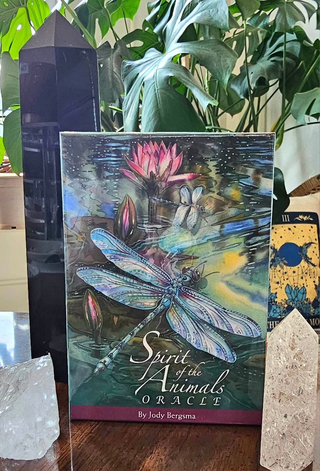 Spirit of the Animals cover