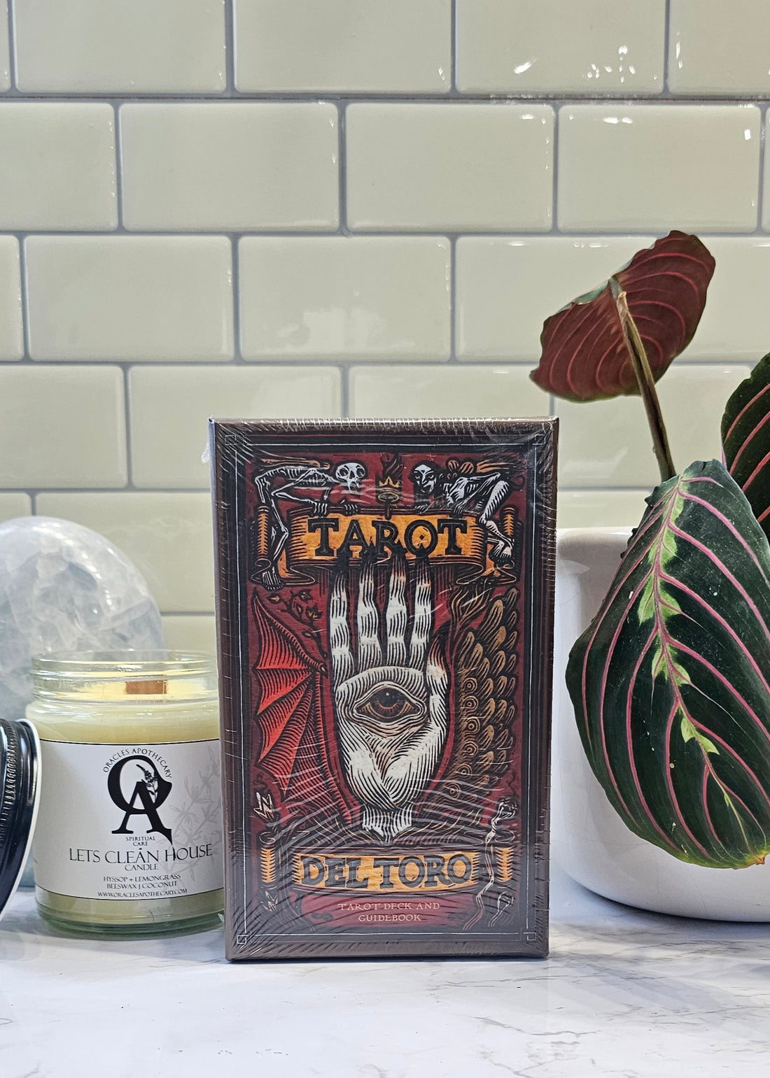 Tarot del Toro deck cover
