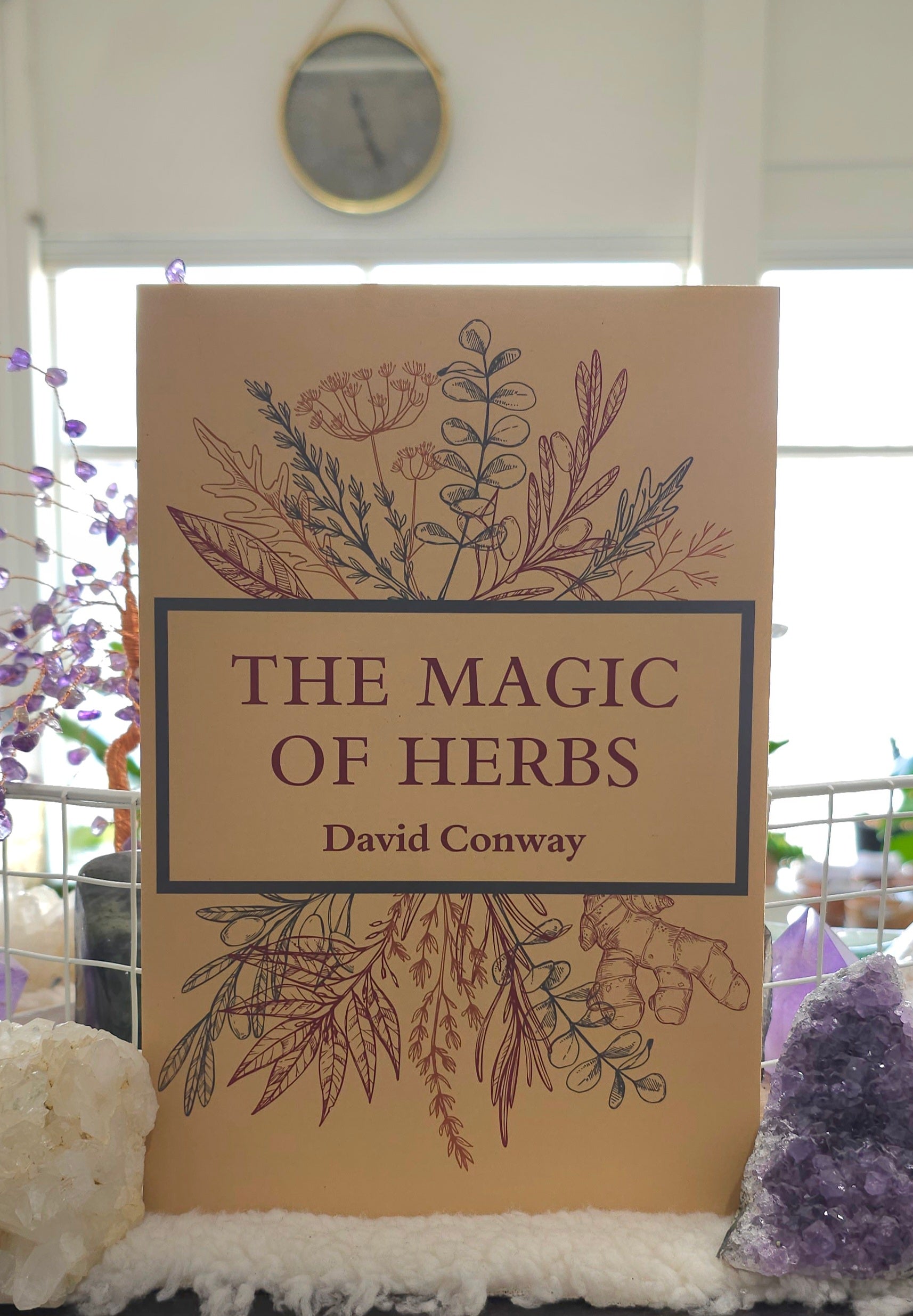 The Magic of Herbs cover