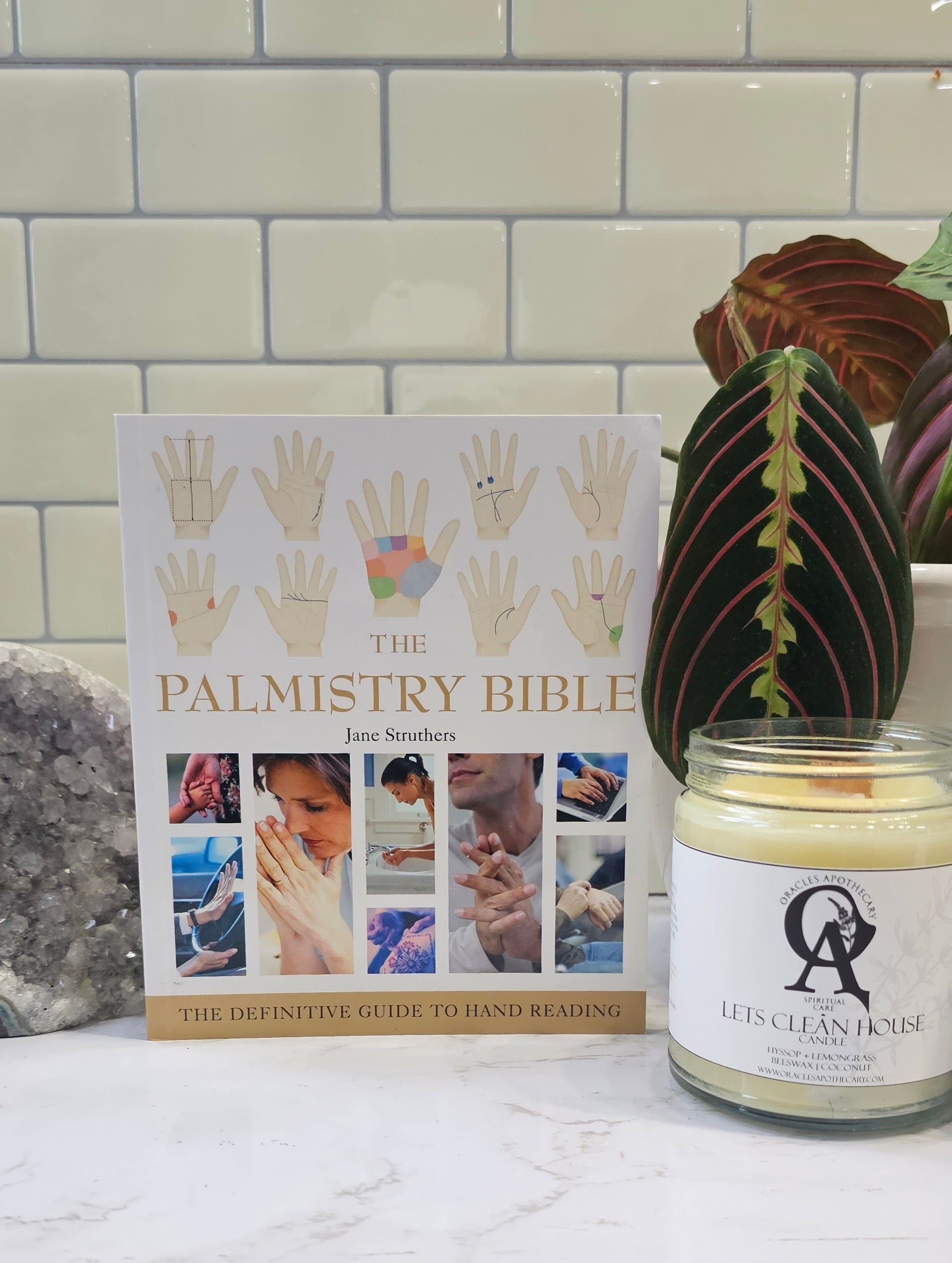 The Palmistry Bible cover