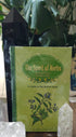 The Spirit of Herbs cover