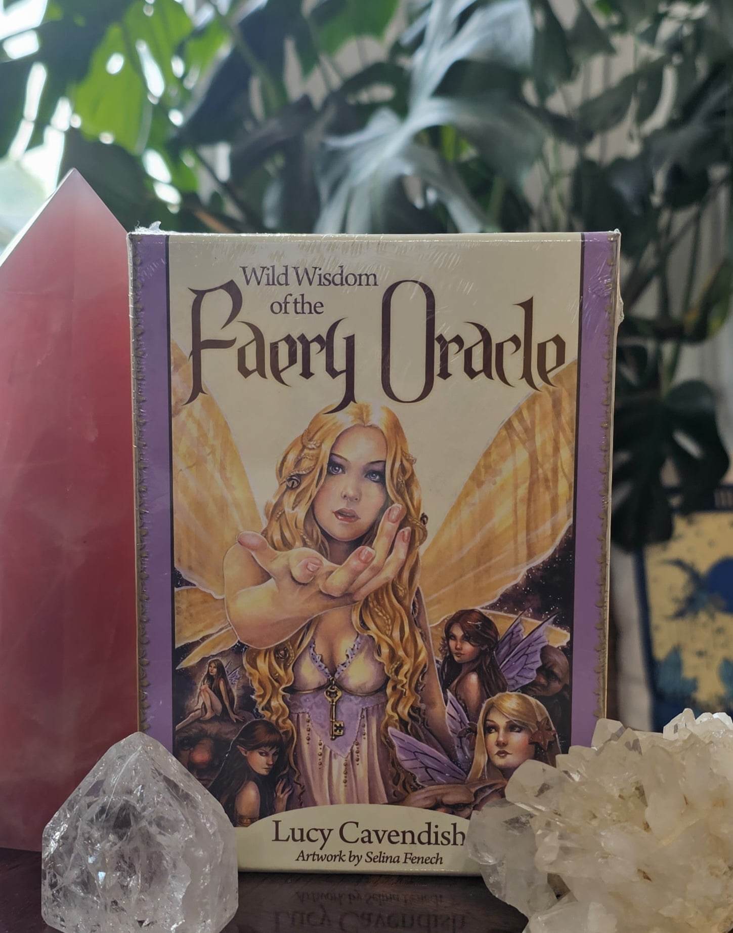 Wild Wisdom of the Faery Oracle deck cover