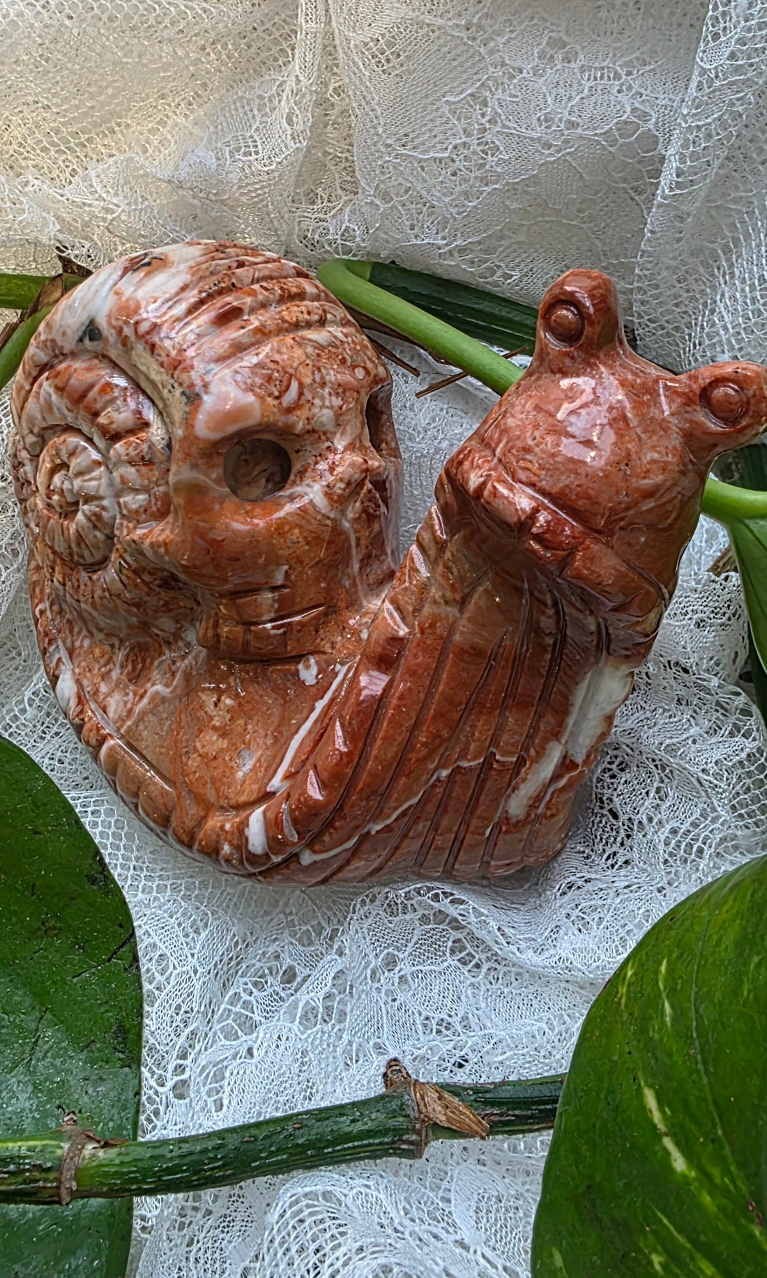 Crazy Lace Agate Snail with Skull Detail