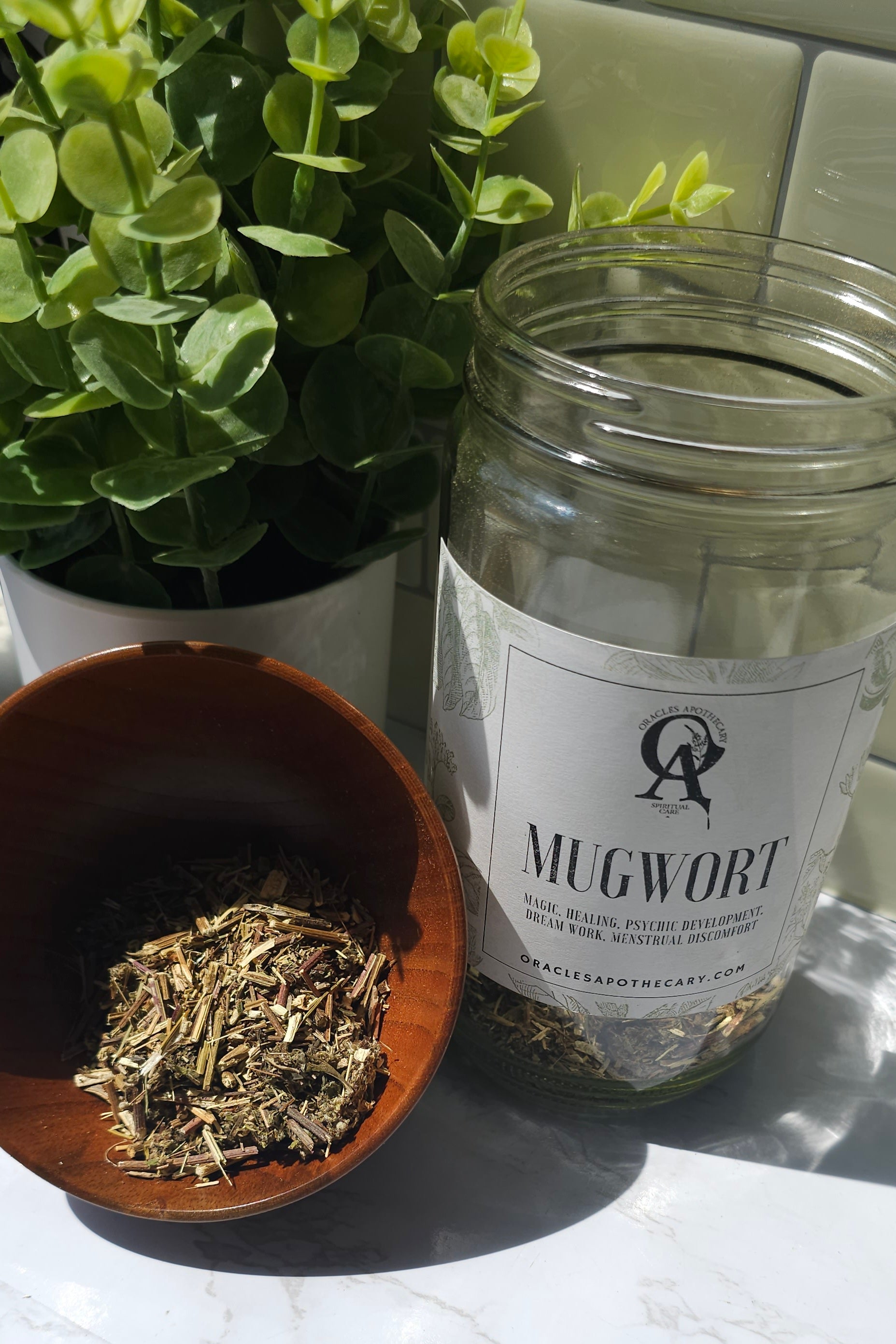Mugwort