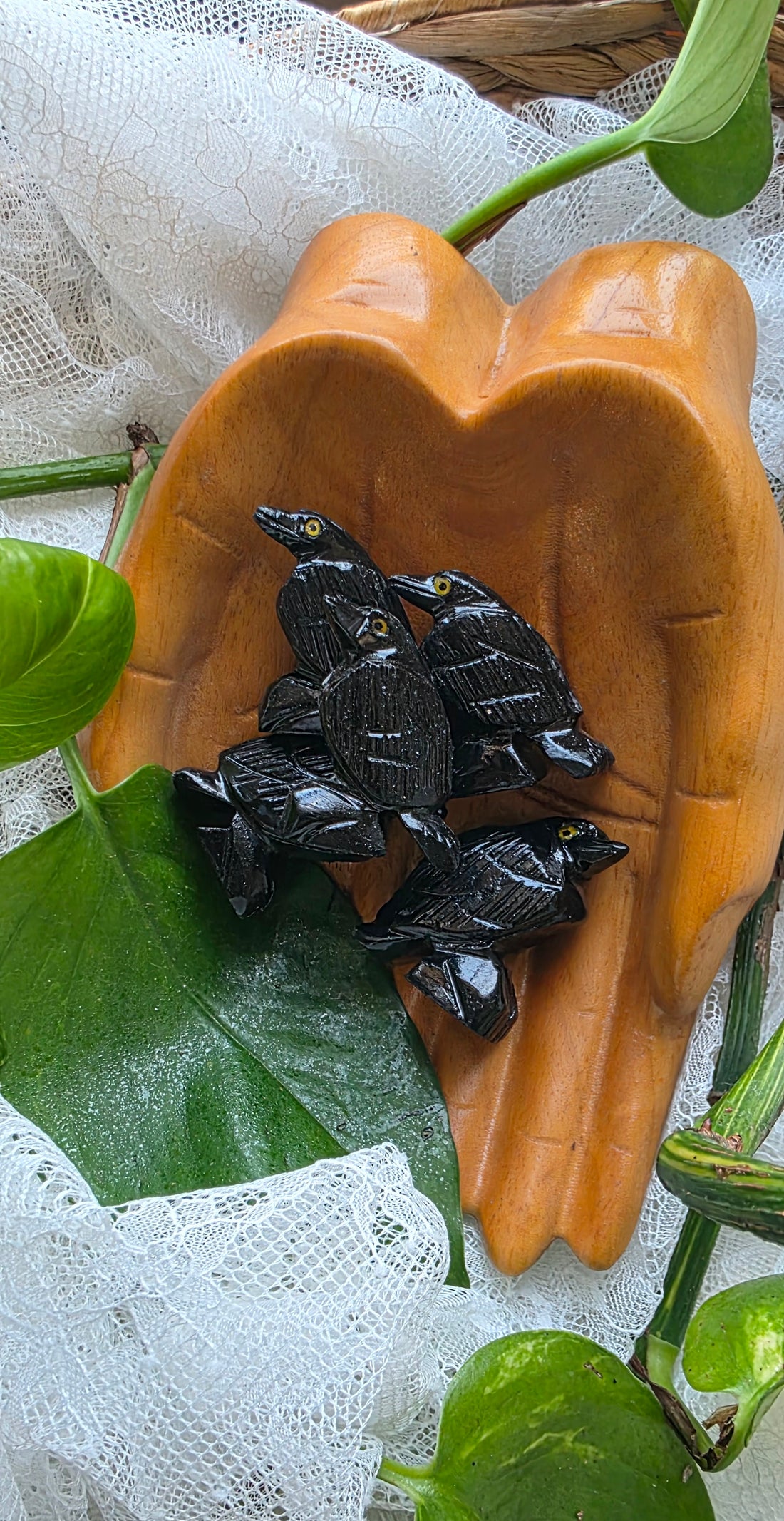 Black Tourmaline Raven