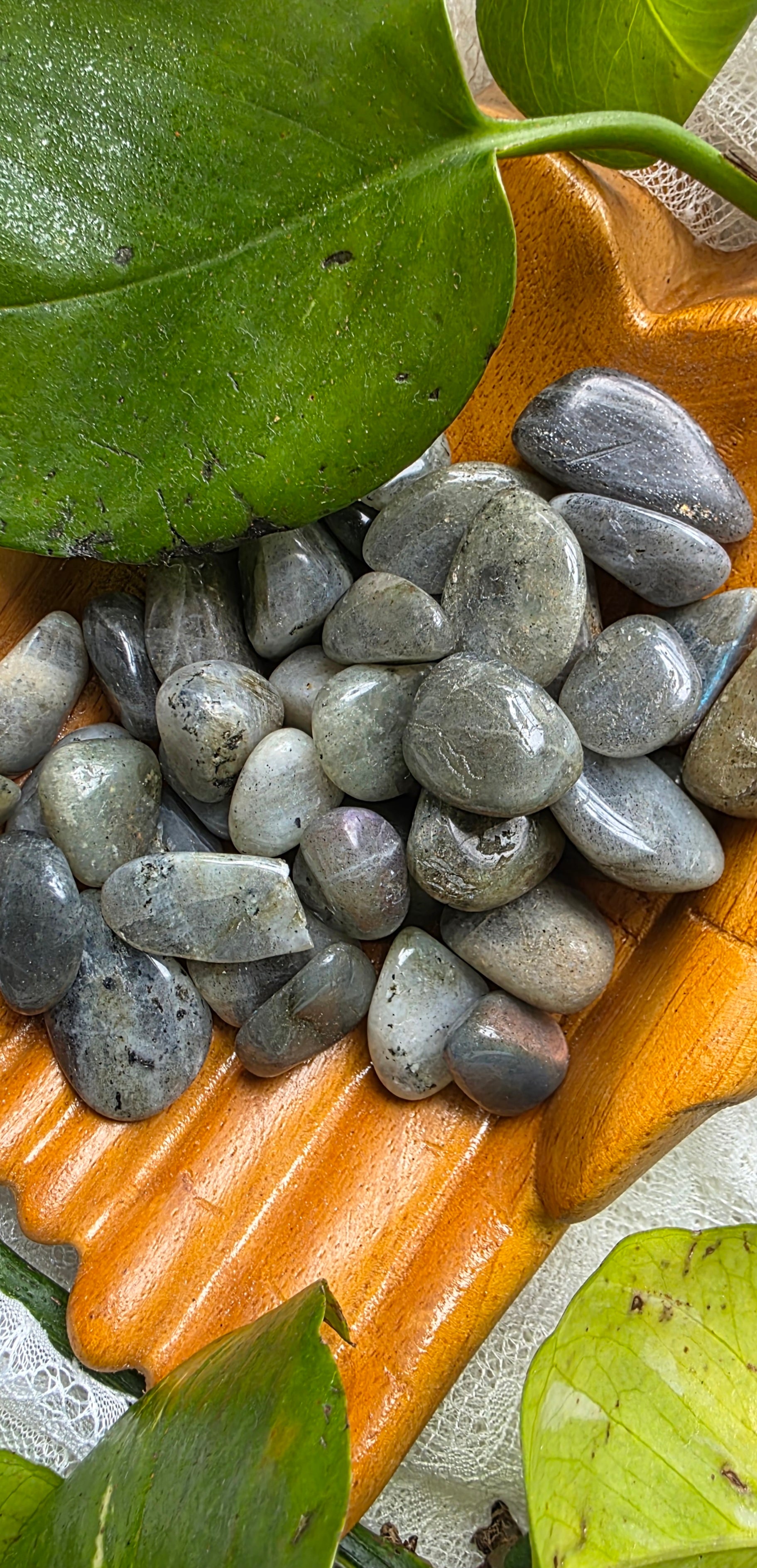 Labradorite