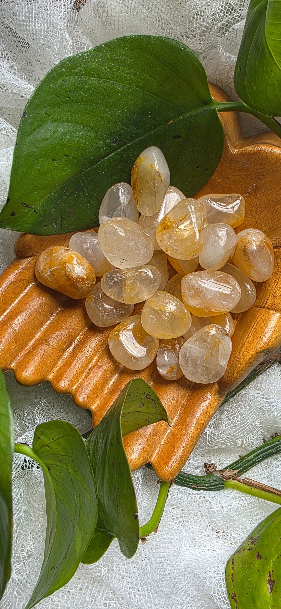 Golden Healer Tumbled