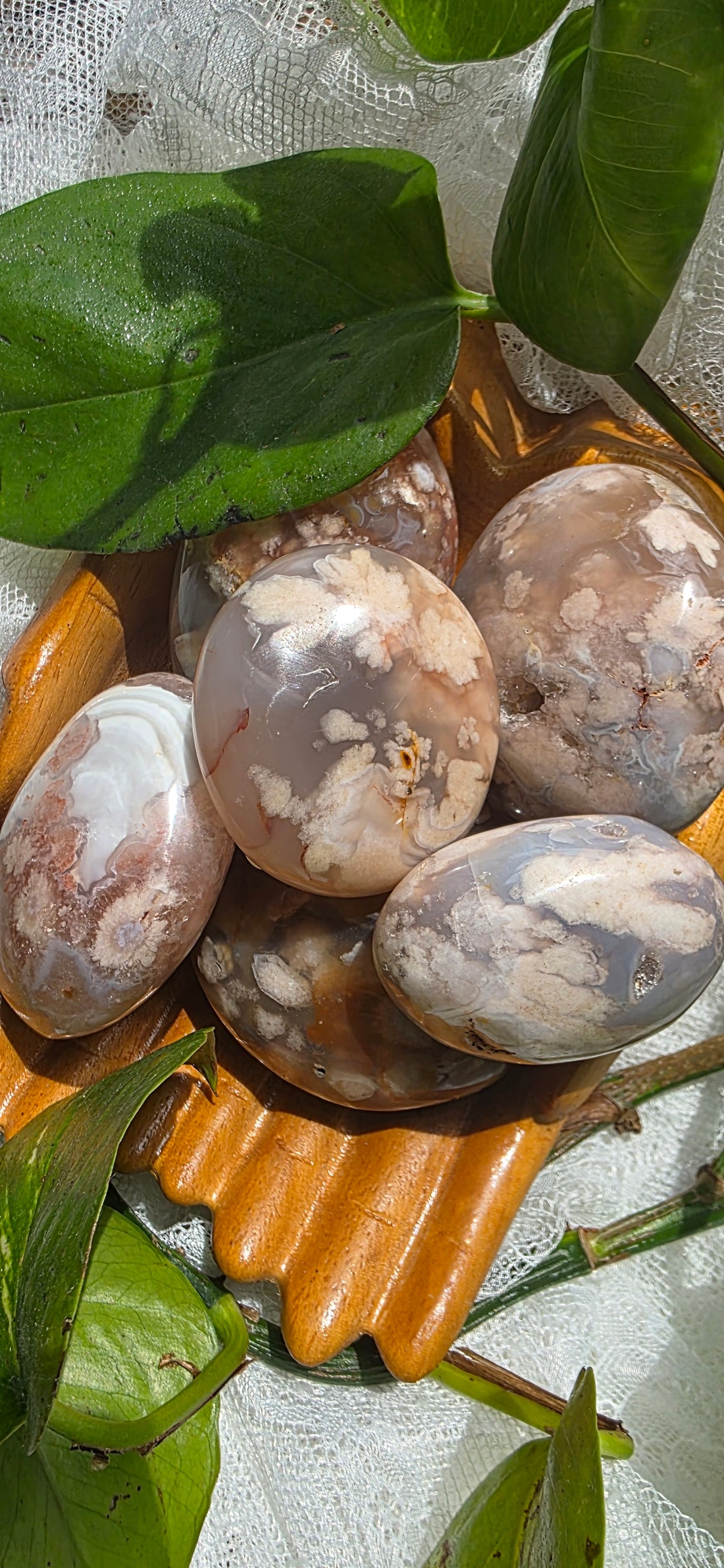 Flower Agate Palm Stone