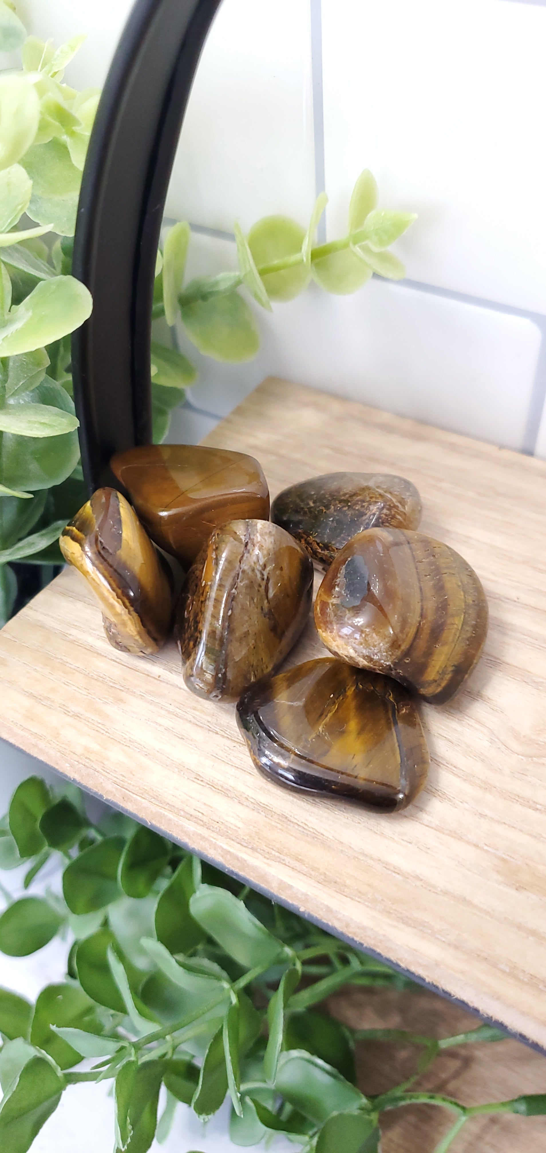 Tigers Eye